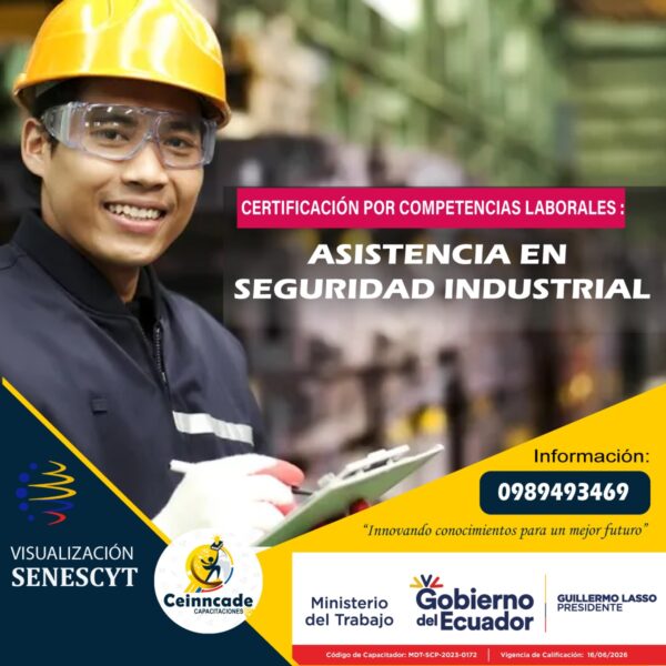 Asistencia en Seguridad Industrial